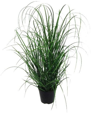 Konstväxt gräs, dekorativt gräs. Gräsbus IM kruka. Ca 60 cm. Utan övergryta (2)