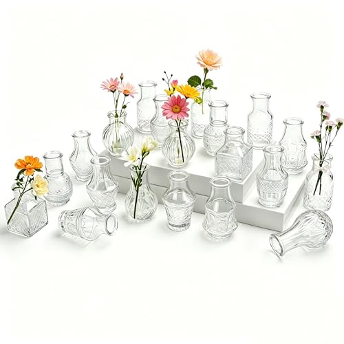 Otauoaea Vase Mini Jarrón de Cristal Vintage Transparente 20 Piezas, Jarrones Pequeños Decorativos para Flores, Decoración del Hogar y Boda