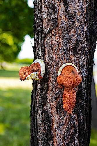 garden mile® Eichhörnchen Gartendeko Skulptur für Außen und Innen Ideal zum Aufhängen am Baum