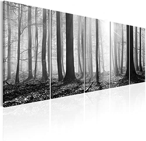 murando Acrylglasbild Wald 100x40 cm 5 Teilig Wandbild auf Acryl Glasbilder Kunstdruck Moderne Acrylglas Platte Wanddekoration Geschenke Heimdekoration Glasbild Landschaften Natur Panorama Baum