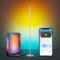 Govee Lampade da Terra LED, Lampada da Terra Moderna RGBIC Funziona con Alexa, Matter, 16 Milioni di Colori Musica Sync Lampada da Terra a Luce Calda per Soggiorno, Camera da Letto, Argento