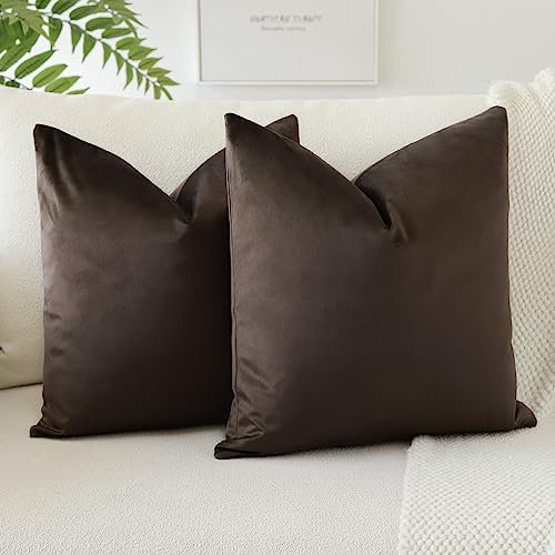 JOTOM Samt Kissenbezug Kissenhülle Sofakissen Dekokissen Kissenbezüge für Sofa Wohnzimmer Schlafzimmer 2er Set 45x45 cm Schokoladenbraun