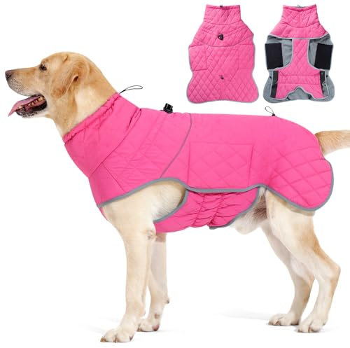 Dotoner Wasserdichter Hundemantel Reflektierende Hundejacke für kaltes Wetter mit weichem Fleecefutter Warmer Mantel mit Geschirr für kleine-große Hunde Indoor &Outdoor Camping Wandern