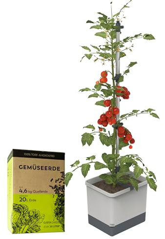 GUSTA GARDEN Tom Tomato - Maceta para tomates (20 L, depósito de agua de 4,5 L y 20 L de volumen de tierra, 20 L, color gris claro, con tierra)