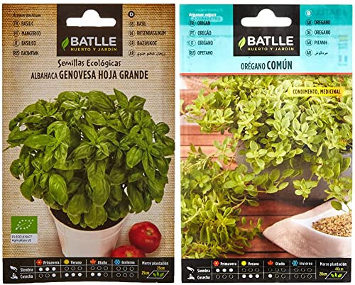 Albahaca Genovesa hoja grande – ECO & Orégano - Origanum vulgare