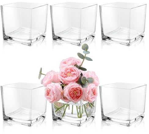 LDHHYH 6 Pack 5 x 5 x 5 Inch Square Glass Vases, Clear Square Vases for Centerpieces, Glass Cube Flower Vases Short Vases for Candle Holder Events Wedding Party Home Decoration
