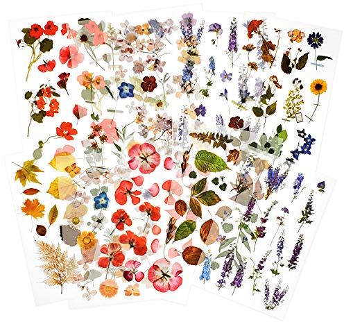 Mayplous Rub-On Transfer Stickers - 10 Sheets Flower & Plant Design Decals for Scrapbooking, Planners, Card Making | Easy-Apply Crafts Embellishments (Garden)