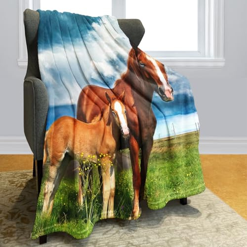 Violetpos tjock filt mjuk värme mysig flanell-fleece sofföverdrag täcke två hästar står på gräset blå himmel 125 x 200 cm
