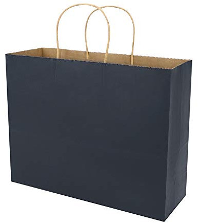 10 Stück Papiertragetaschen Wiederverwendbare kraftpapiertüten Papiertüten Griff Papiertaschen Tüten Geschenktüten Tragetaschen für Geburtstag Hochzeit Weihnachtsfeier Einkaufen Babyparty Brautdusche