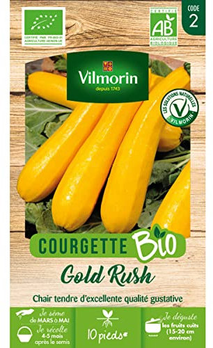 Vilmorin - Sachet graines Courgette Jaune Gold Rush BIO
