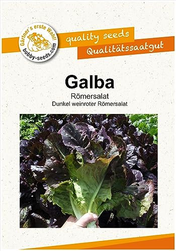 Salatsamen, Galba, Römersalat 1 Portion