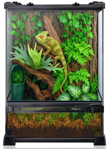 Reptile Terrarium 10x10x14, Full Glass Tank Enclosure for Small Reptiles, Geckos, Frogs, Lizards, Snakes, Spiders, Turtles, Vertical Rainforest Habitat