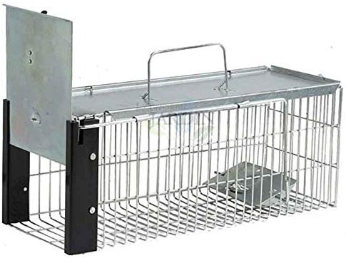 Suinga Trampa Animales Vivos Reutilizable 41x16x17 cm Trampa para Animales en Jaula galvanizada para Conejos, Gatos, Ratas y roedores, Gris