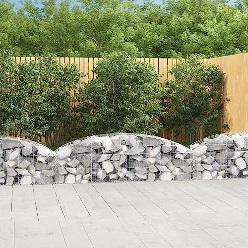Cesto Gabbione ad Arco 200x50x40/60 cm Ferro Zincato,Gabbia in metallo riempibile di pietra per barriera in giardino, parete di contenimento Resistente alla corrosione Vasi e accessori per piante