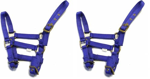 Rhinegold Nylon Foal Headcollar - Royal Blue (Pack of 2)