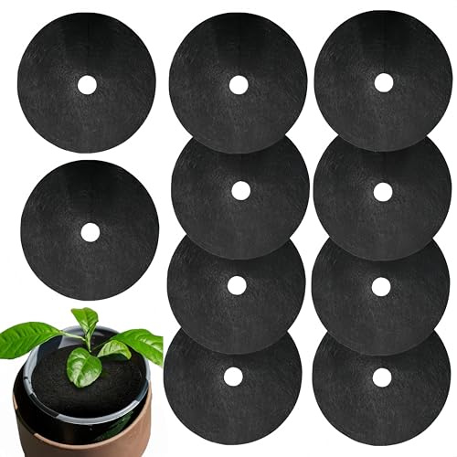 Granmagazz 10 discos de mantillo para árboles, 25 cm, alfombrilla de protección para árboles y plantas, alfombrilla redonda de fieltro para plantas y plantas