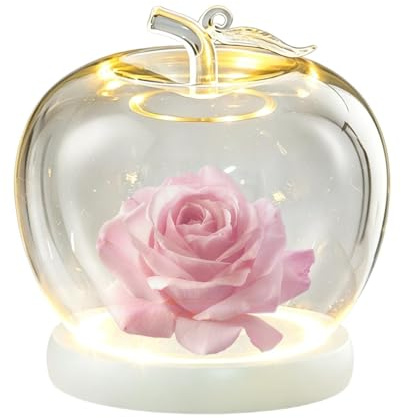 Glowing Glass Apples Case, Easy Display Solution,1pc, Glass Apples Dome, Transparent Showcase Cover, Versatile Display Solution, For Collectors Home Office Apartment Shop Wedding Jewelry Collectibles
