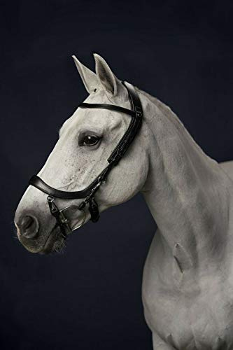 PresTeq FaySport Snaffle Bridle Full Size Black