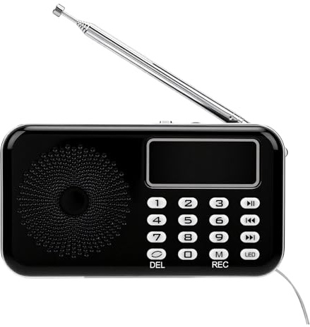 HELEVIA Kit D'enquête Fantôme avec Radio FM, Haut-Parleur, Boules de Chat LED, équipement de Détection Paranormale 50 Hz-20 000 Hz pour la Recherche Paranormale