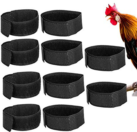 No Crow Rooster Halsband, 10st Anti Hook Noise Nackband Tupp Halsband för Att Sluta Gala Kycklingkoppel Anti Crow Rooster Krage No Crow Noise Nackbälte för Tuppar Cockerel Nylon