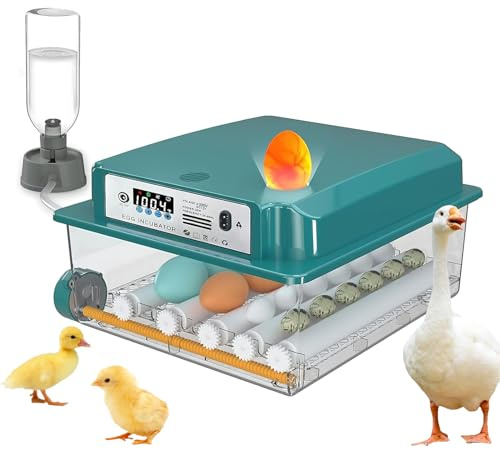 Buusace Incubadora, Incubadora de Huevos Automática, Incubadora de Huevos con Volteo Automático de Huevos, Temperatura Automática 16 Huevos, de Gallina, Codorniz, Pato