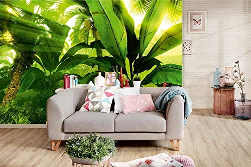Vlies Fototapete TROPISCHER REGENWALD 375 x 250 cm (inkl. Kleister) - Vlies Tapete, Wandtapete, Wandbilder - Tapete für Wohnzimmer Schlafzimmer, Büro, Küche - Montagefertig