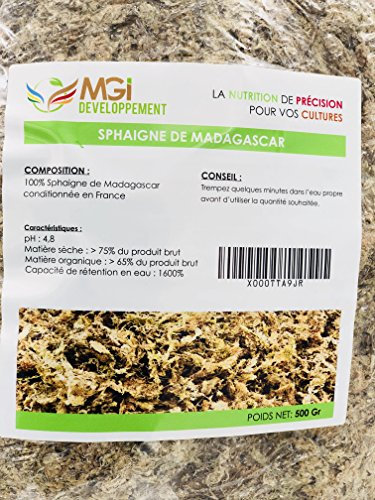 500gr Sphaigne de Madagascar – Support de Culture végétal Naturel – Retient l’Eau – Idéal orchidées, semis, terrariums, kokedamas - Conforme à la Norme NF U 44-551