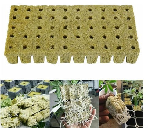 50/100 pezzi di cubi per coltivazione , fogli di substrato di coltivazione senza suolo, per la coltivazione e la colonizzazione delle piante (50 pezzi)