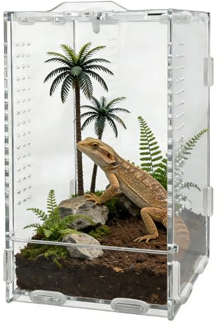 KOUHA Terrario de Reptiles Caja de Alimentación Terrario Acrílico con Pinzas Caja Transparente Portátil para Fauna de Reptiles para Arañas Lagartos Escarabajos Ranas Serpientes Geckos y Camaleones