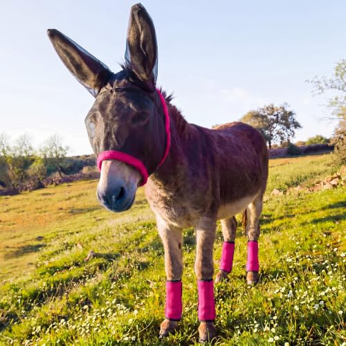 Yeyeplum Mini masque anti-mouches âne avec oreilles et 4 bottes anti-mouches, rose rouge