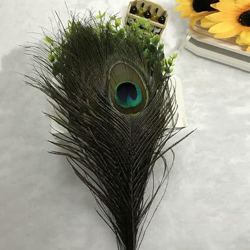 10 Stück natürliche Federaugen, Basteln, Bekleidung, Nähen, Federn für Wiedersehen, Hochzeit, Dekor, DIY, Schmuck, dekoratives Zubehör, 10 Stück