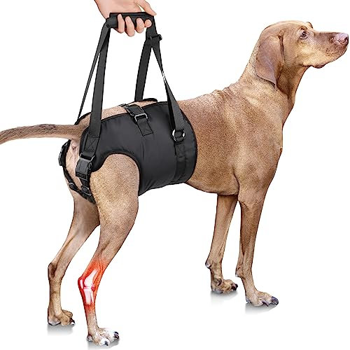 PZRLit Aide au transport pour chiens - Aide à la marche réglable avec sangle de transport pour chiens âgés - Gilet d'assistance en cas de blessures à la hanche et à l'arrière de la jambe - Moyen