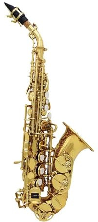 Professionell Saxofon Altsaxofon I B Dur Med Fodral Och Tillbehör 2 Färger Tillgängliga(Gold curved pipe)
