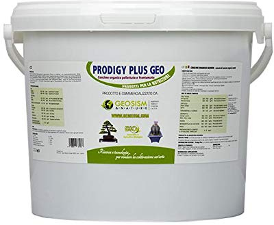 Prodigy Plus 1/3 mm (5 kg), concime granulare per bonsai, piante e fiori