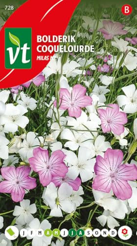 Coquelourde Milas mix Graines - Fleurs roses et blanches avec un aspect naturel.
