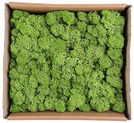 Warmiehomy Fake Artificial Moss for Crafting 130g Light Green Faux Moss for Arts and Crafts Christmas and Easter Decorations Landscaping, Floristry Indoor Plant Pots and Aquariums