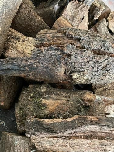 Mugar -Leña para Chimenea, Estufa o Barbacoa. Leña de Encina y Olivo- Troncos de leña Mediano 30-40cm - Distintas Cantidades (Encina, 22 kg)