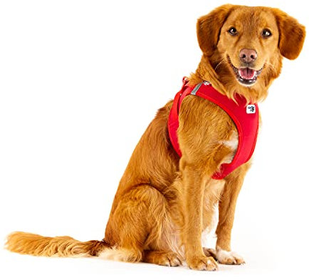Vest Harness curli Clasp Softshell Red S