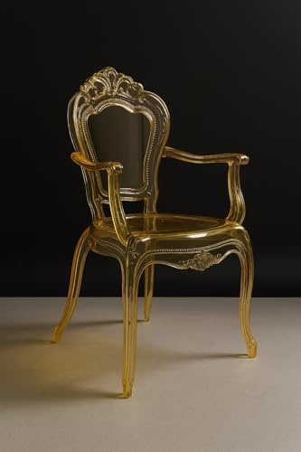Biscottini Sedie in Policarbonato - Sedia con Braccioli Cucina Soggiorno 53x49x97,5 cm - Poltrone Barocche Sala da Pranzo Camera da Letto - Poltrona in Plastica da Esterno Moderna Matrimonio Cerimonie