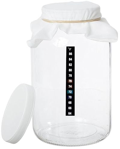 kitchentoolz 1 gallone Glass Jar Kombucha-casa Brewing e fermentazione Kit con filtro garza, Elastico, coperchio di plastica e strisce autoadesive Termometro