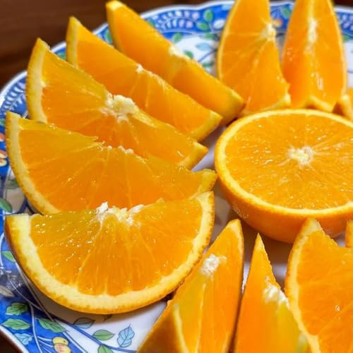 orangenbaum winterhart samen - säulenobst dekoration wohnzimmer zitruspflanzen obstbäume deko pflanzen bio saatgut säulenobstbäume gewächshaus balkon bio saatgut hängepflanze obst 250pcs