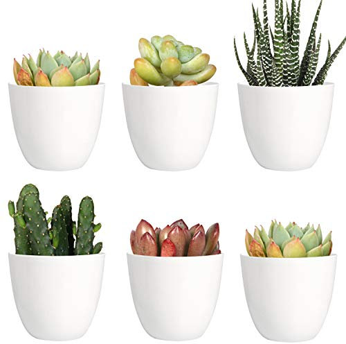 Youngever 10 Pack 8CM Mini Plastic Planters Indoor Flower Plant Pots, White Gardening Pot with Drainage for All House Plants, Flowers, Herbs, Succulents, NO Plant Included (Modern)