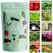 Scott&Co. Salad Seed Variety Pack, UK Veg Planting, Beetroot, Tomato, Lettuce, Spring Onion, Radish, Cucumber, Rocket, Pepper Vegetable Seeds, Gardening Gifts for Men and Women