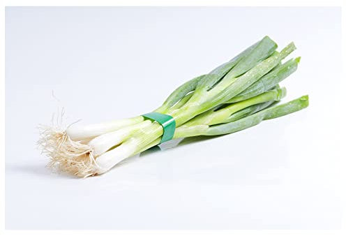 Sachet de graines de Poireau géant de Provence- Les Graines Bocquet