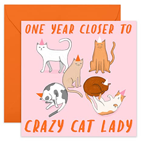 Central 23 - Carte d'anniversaire humoristique – Motif blague de chat – Pour femme, épouse, mère, sœur – Livré avec des autocollants amusants