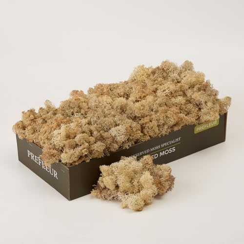 Preserved Reindeer Moss Natural Green DIY Kit Terrariums Gardenning Art Wall Decor Florist Decor Easter Table Decor Wedding Decor (0.85lb)(White-01)