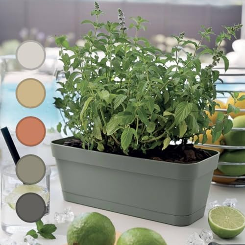 Generico Set 3 Vaso Rettangolare Moderno per Piante Grasse e Bonsai, Design Italiano, Plastica Resistente con Sottovaso, 30cm, Ideale per Interni ed Esterni, Fioriere da Balcone (Bianco)