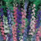 Rocket Delphinium Mix (Delphinium Consolida Rocket) - 200 Seeds : Seeds Only
