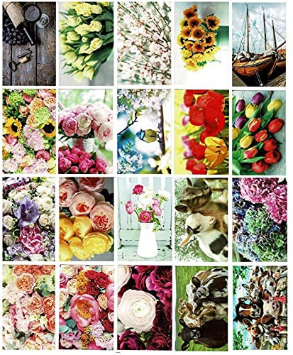 Cards & Crafts 20 Blankokarten ohne Text mit Briefumschlägen - Grußkarten-Set mit Briefumschlägen - Assorti