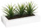 Atmosphera Centro de Mesa - 3 Aloe Vera - Altura 17 cm, Blanco, L. 31 x l. 16 x H. 17 cm